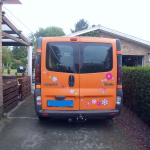 diverse kleuren stickerset bloemen