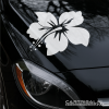 bloem sticker 20 hybiscus