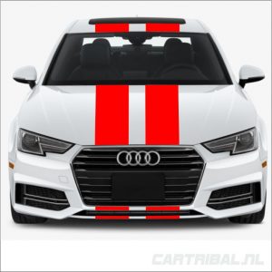 striping autostickers