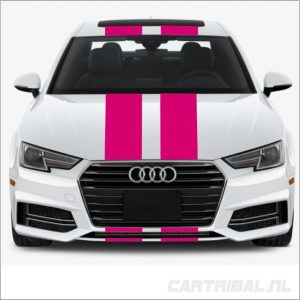 striping autostickers