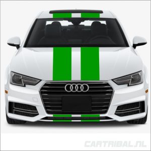 striping auto