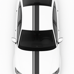 viperstriping model 5