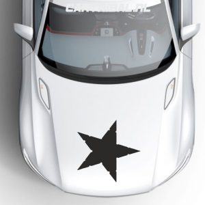 ster sticker model 17
