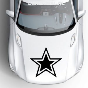 ster sticker model 19