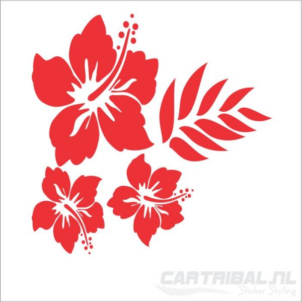 bloem hibiscus sticker auto