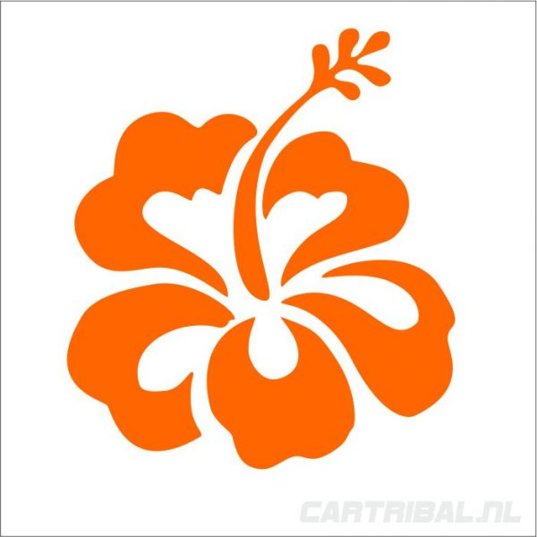 bloem hibiscus sticker model 36 - Afbeelding 2