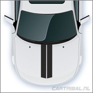 motorkap striping