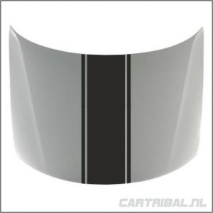 motorkap striping
