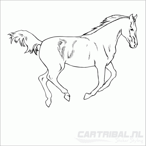 paard 0170 sticker