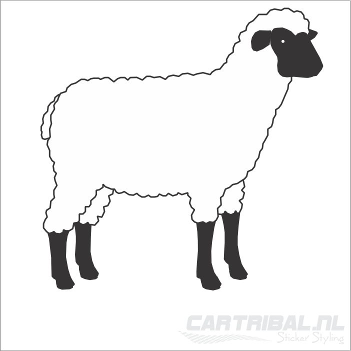 schaap 0654 sticker