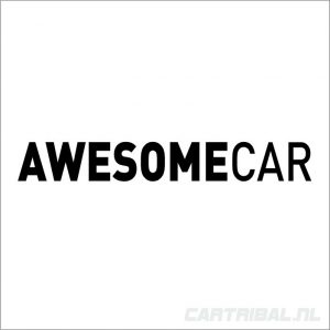 awesome car sticker