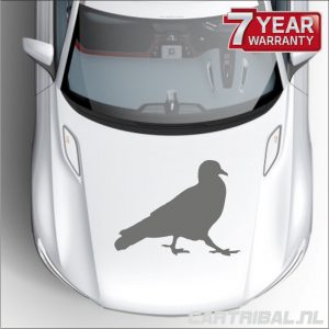 sticker van duif op auto