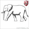 sticker van een olifant