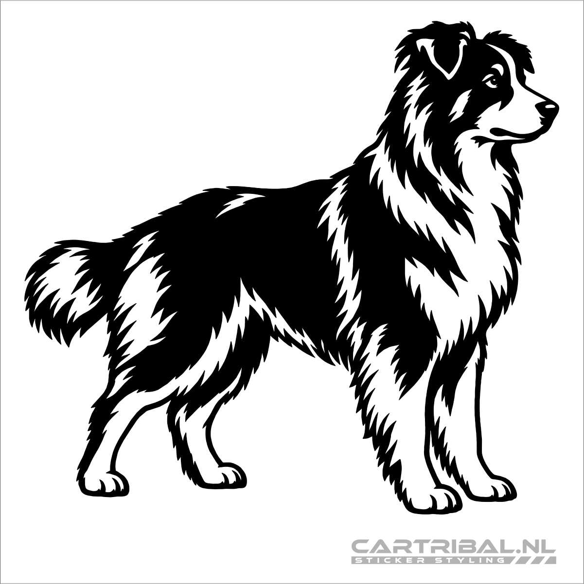 australian shepherd sticker