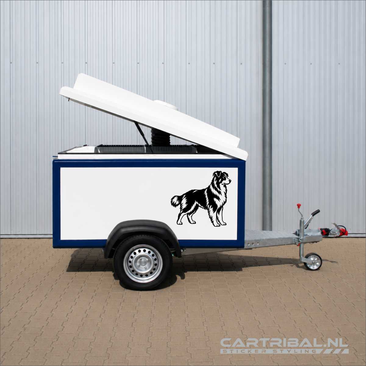 australian shepherd sticker