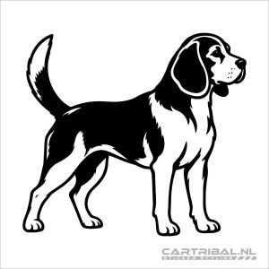 Beagle hond sticker model 1
