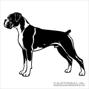 boxer hond sticker