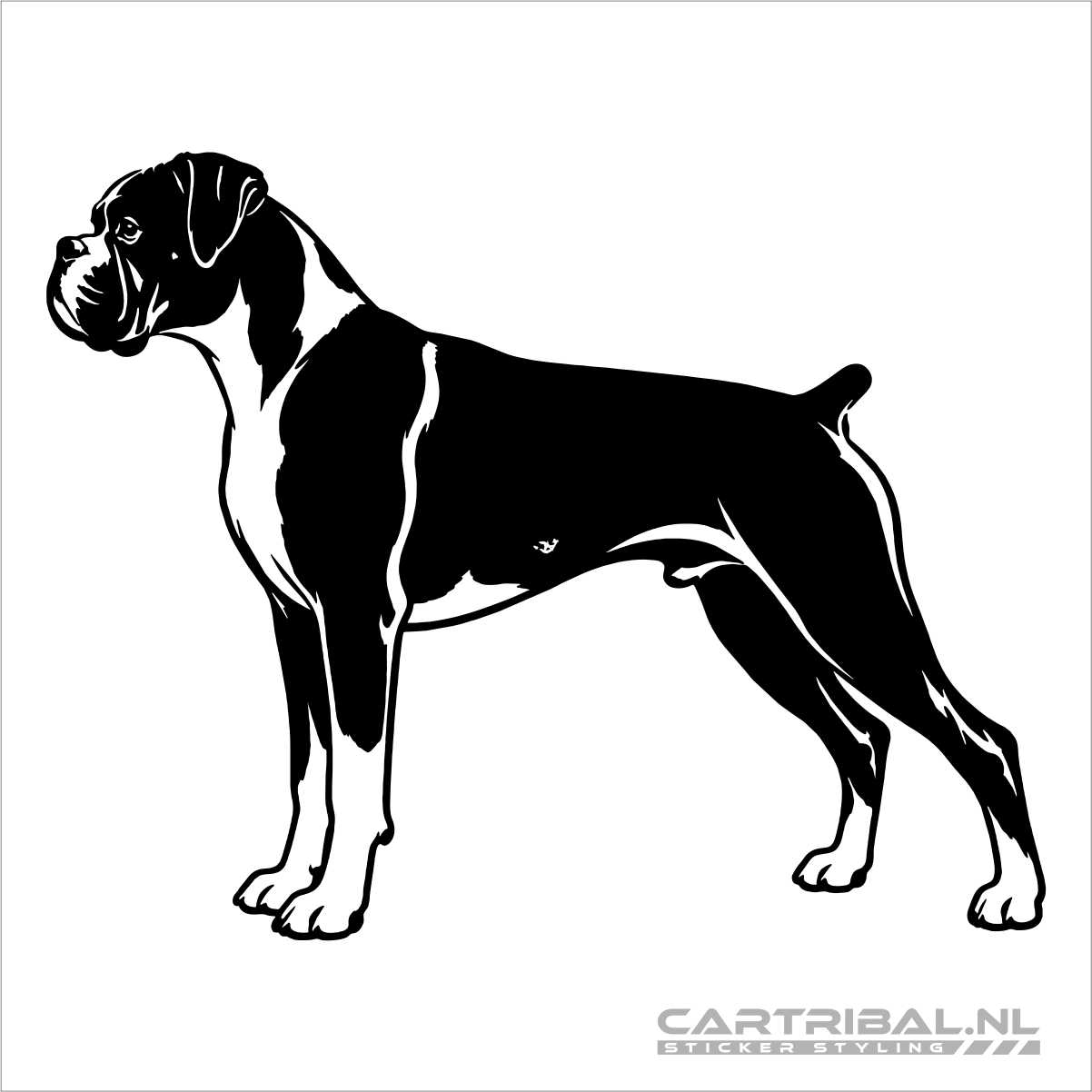 boxer hond sticker