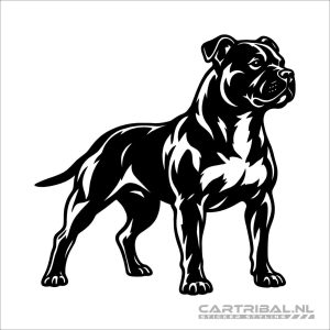 Staffordshire-bulterriër