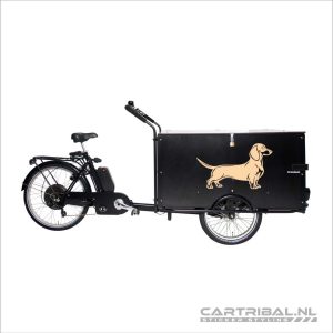 sticker van teckel