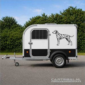 dalmatier hond sticker model 2-2