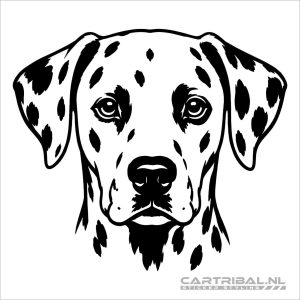 dalmatier kop sticker hond