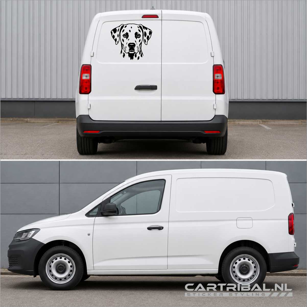 dalmatier kop sticker hond