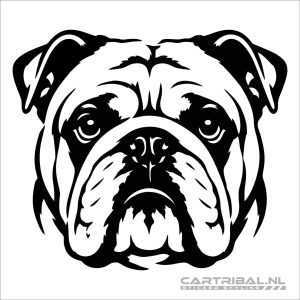 engelse bulldog kop sticker model 1-1
