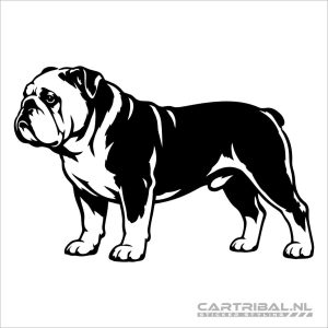 engelse bulldog model 2-1