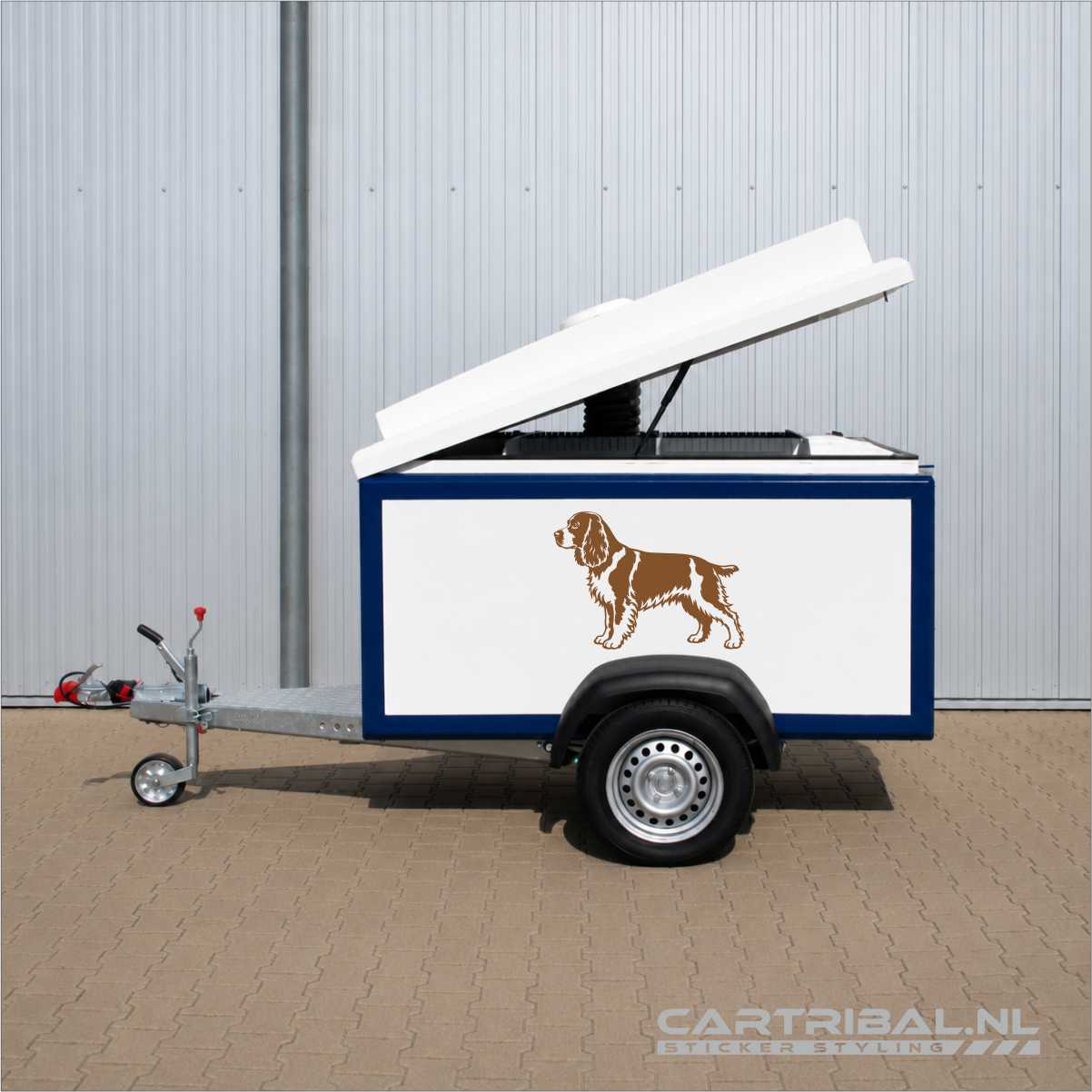 engelse cocker spaniel hond sticker model 2-3