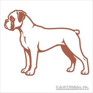 boxer hond sticker model 4-1