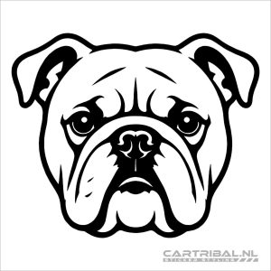 engelse bulldog kop sticker model 3-1